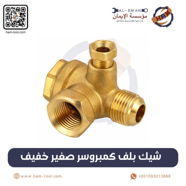 Small Light Duty Air Compressor Check Valve